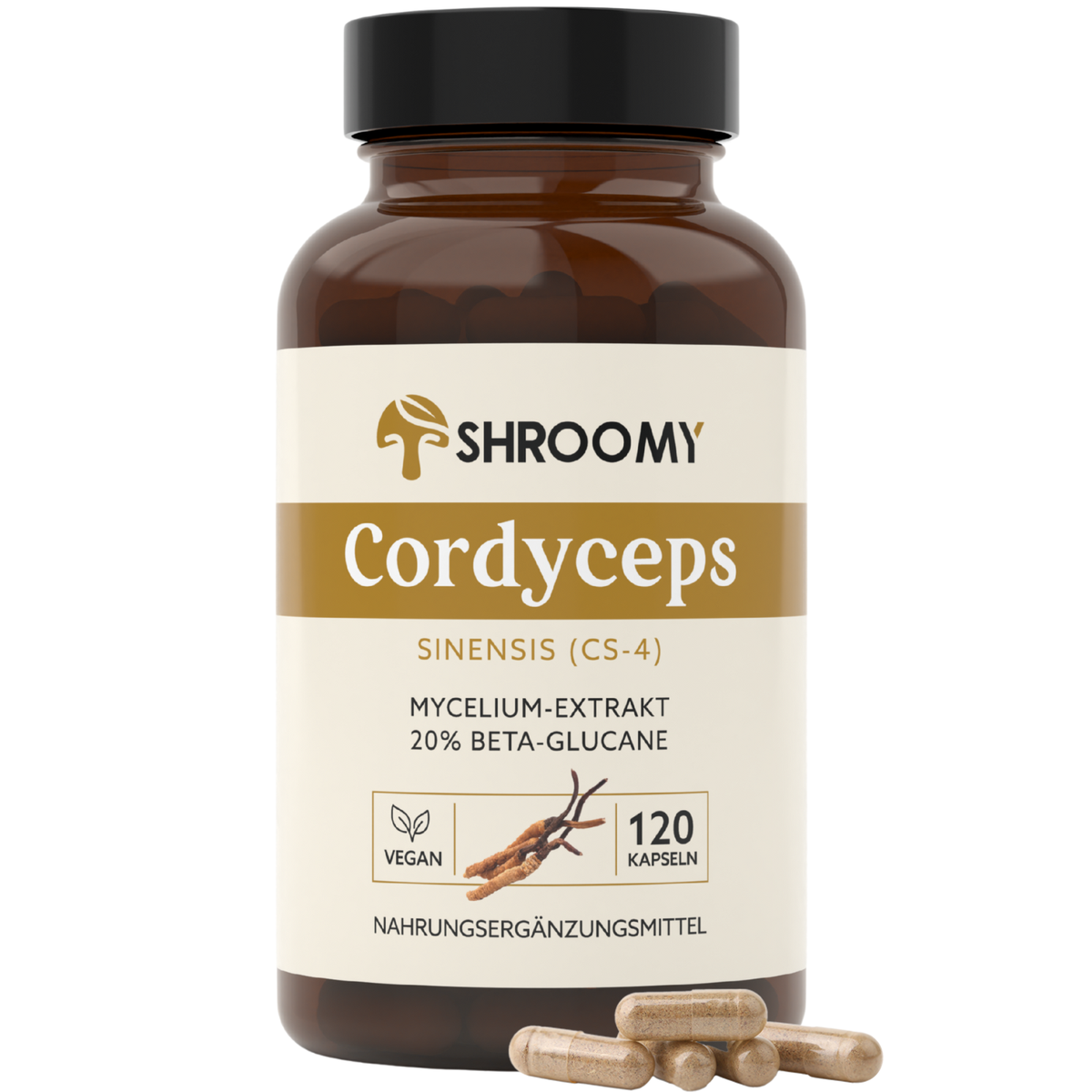 Cordyceps Kapseln