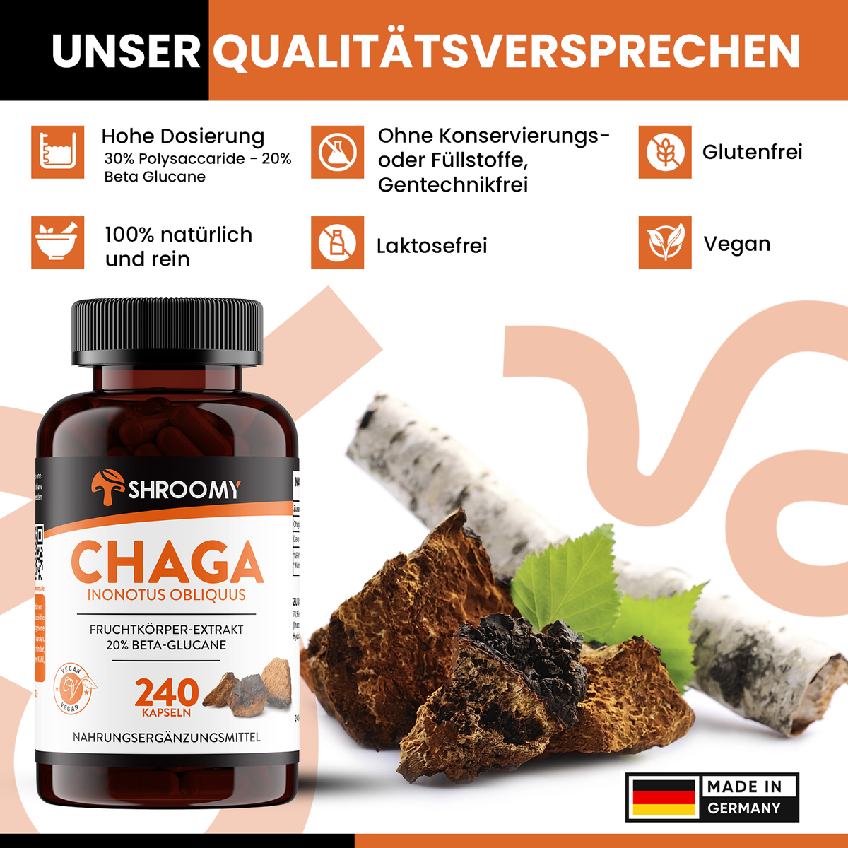 Chaga Kapseln Big Pack
