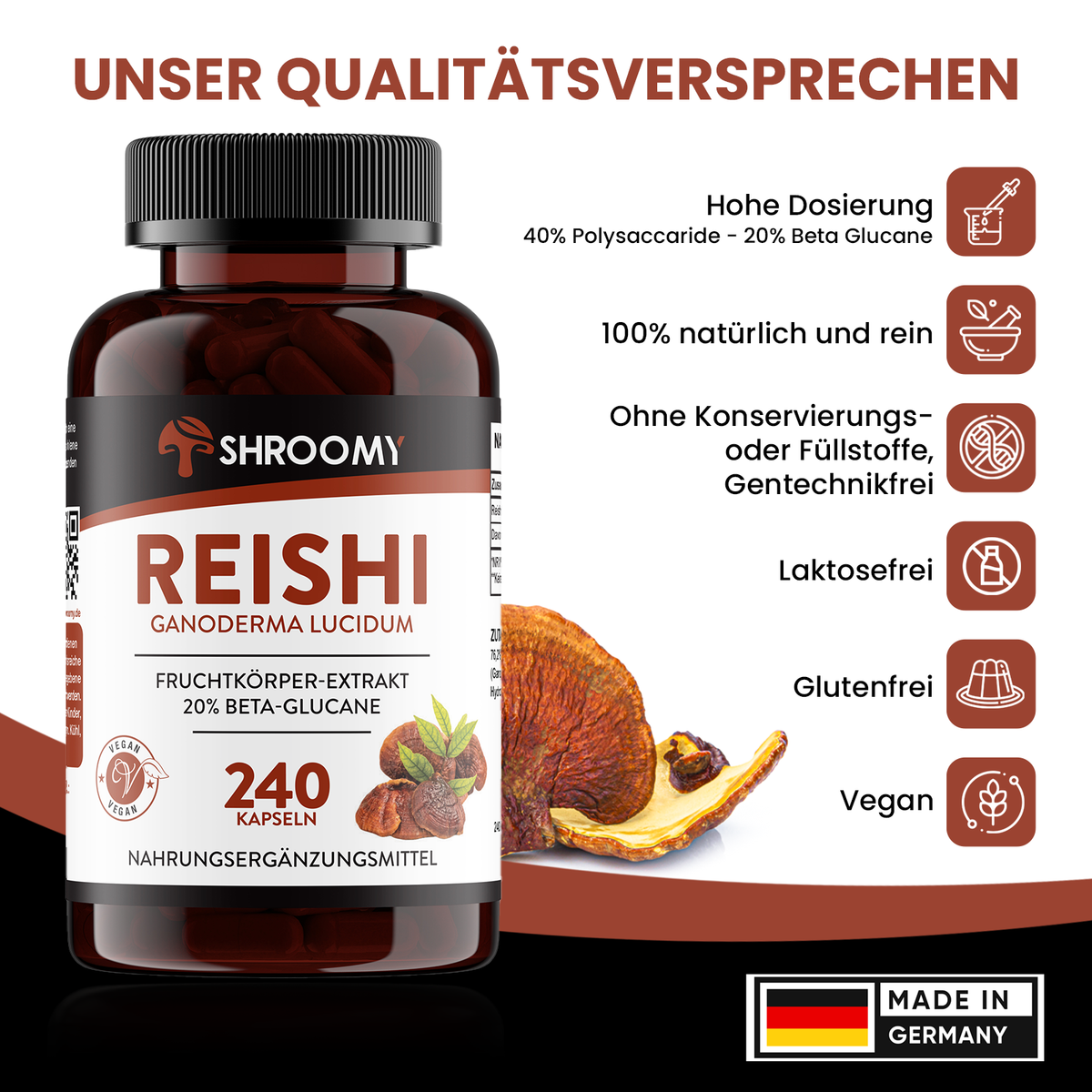 Reishi Kapseln Big Pack