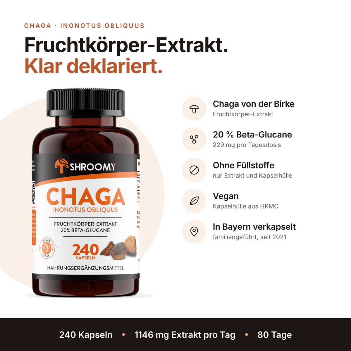 Chaga Kapseln Big Pack