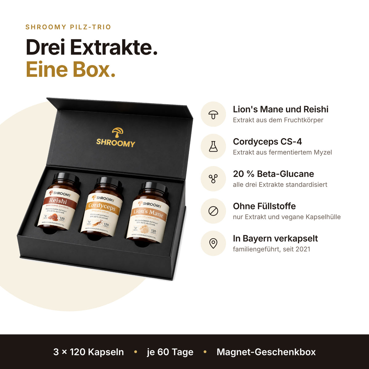 Die SHROOMY Vitalpilze Kollektion