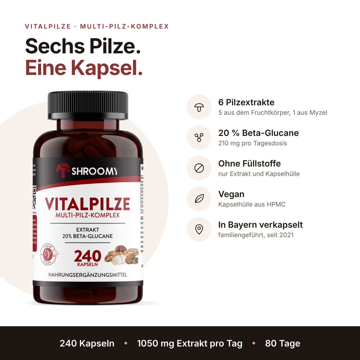 Vitalpilze Kapseln Big Pack