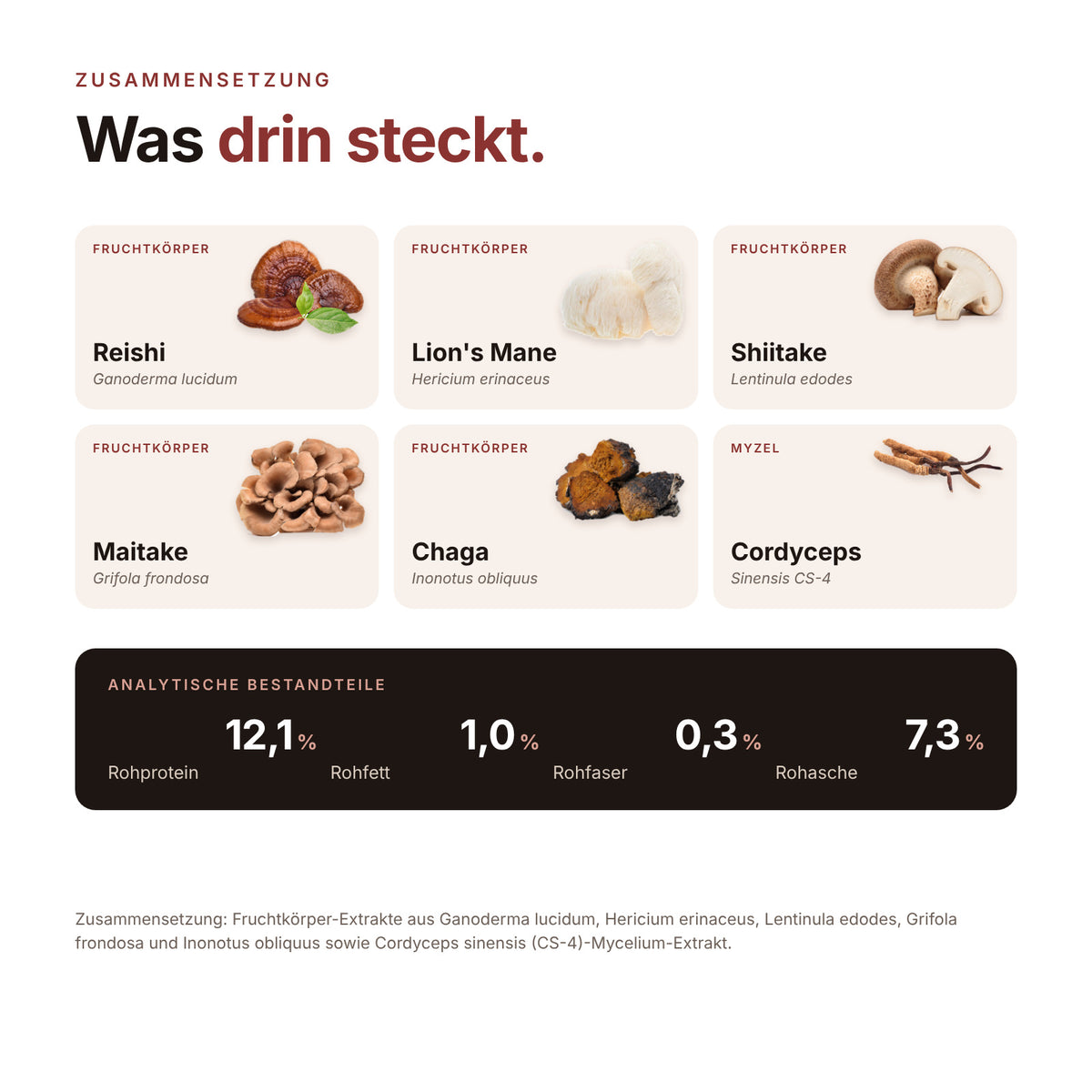 SHROOMY Vitalpilze – Zur Unterstützung von Verdauung und Wohlbefinden bei Hunden & Katzen