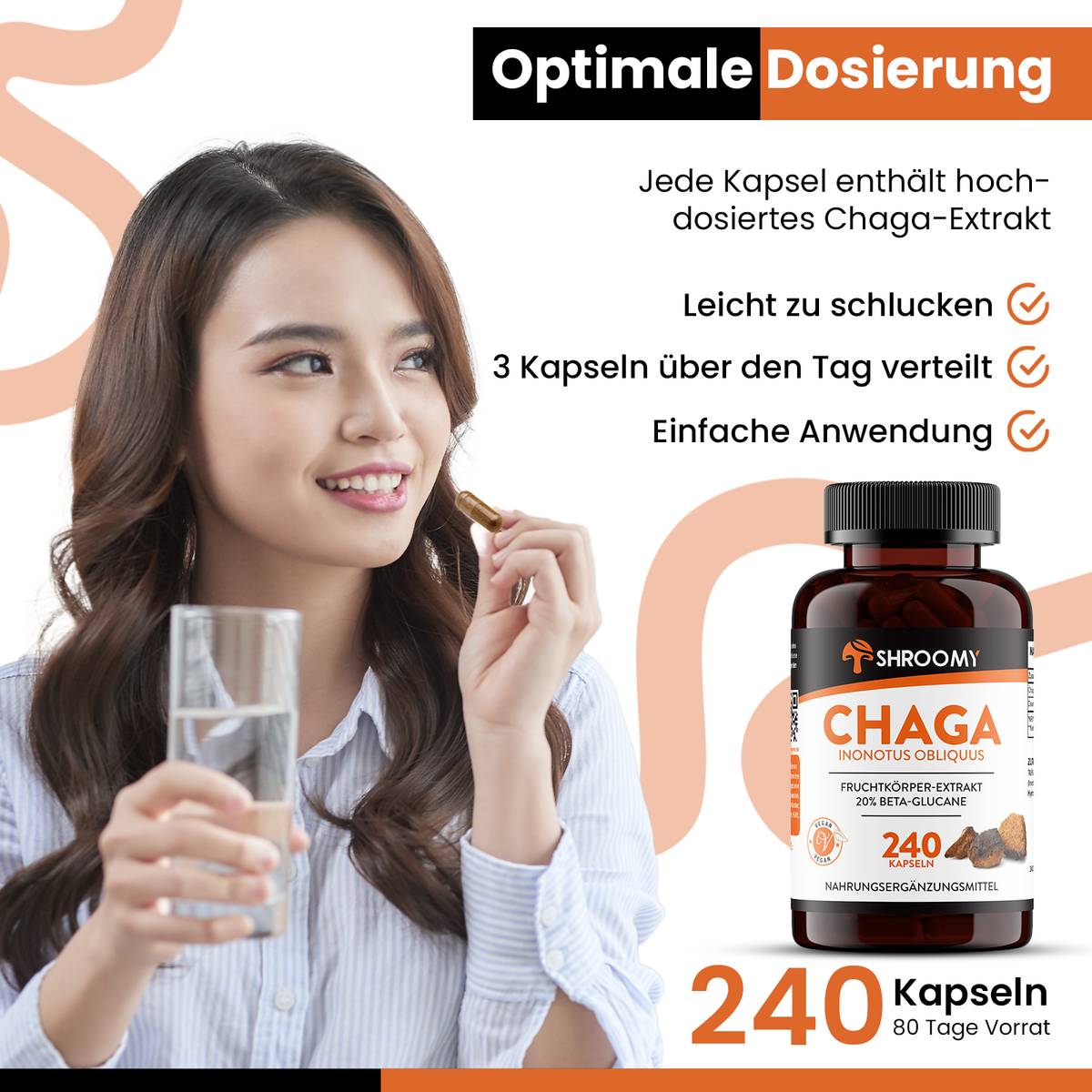 Chaga Kapseln Big Pack