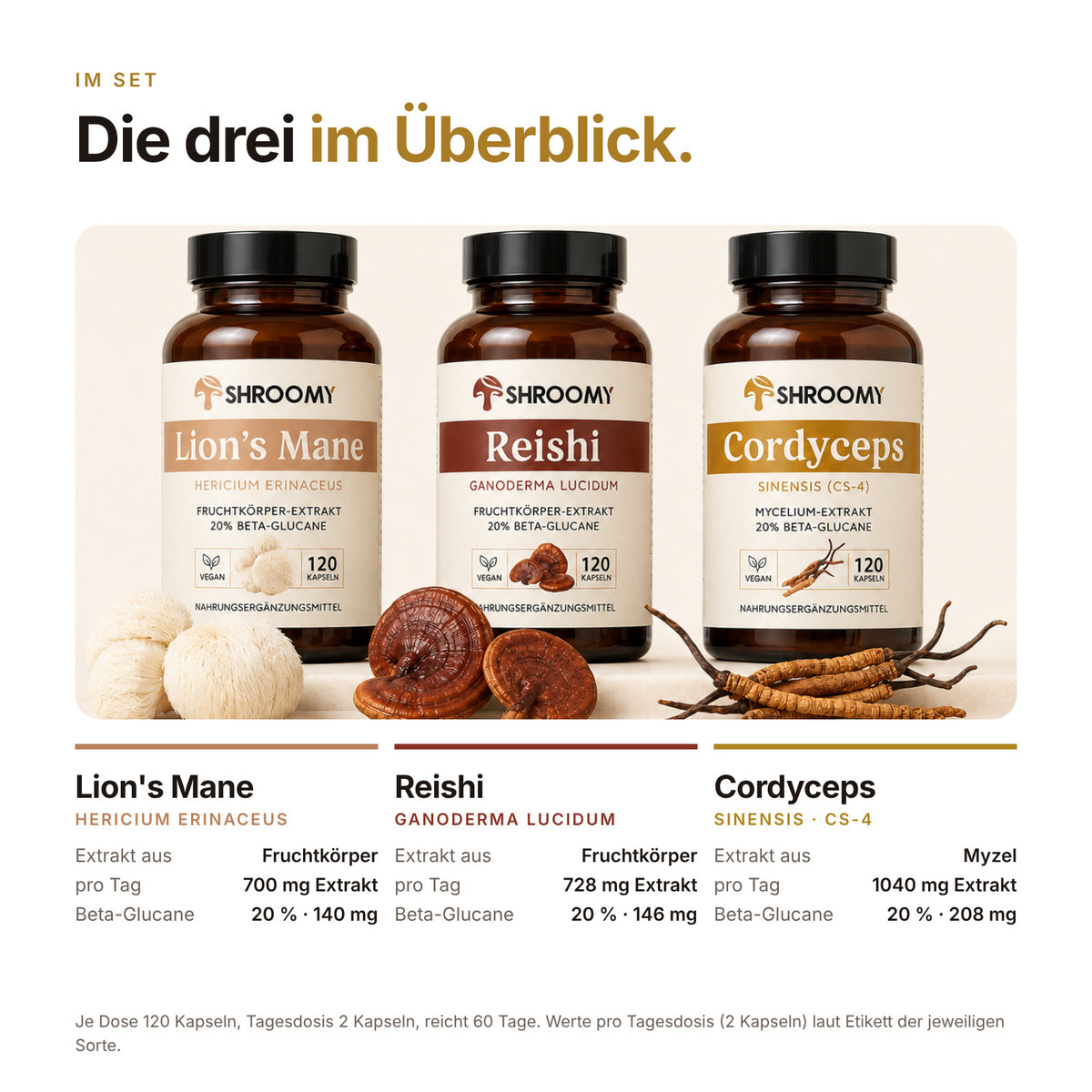 Die SHROOMY Vitalpilze Kollektion
