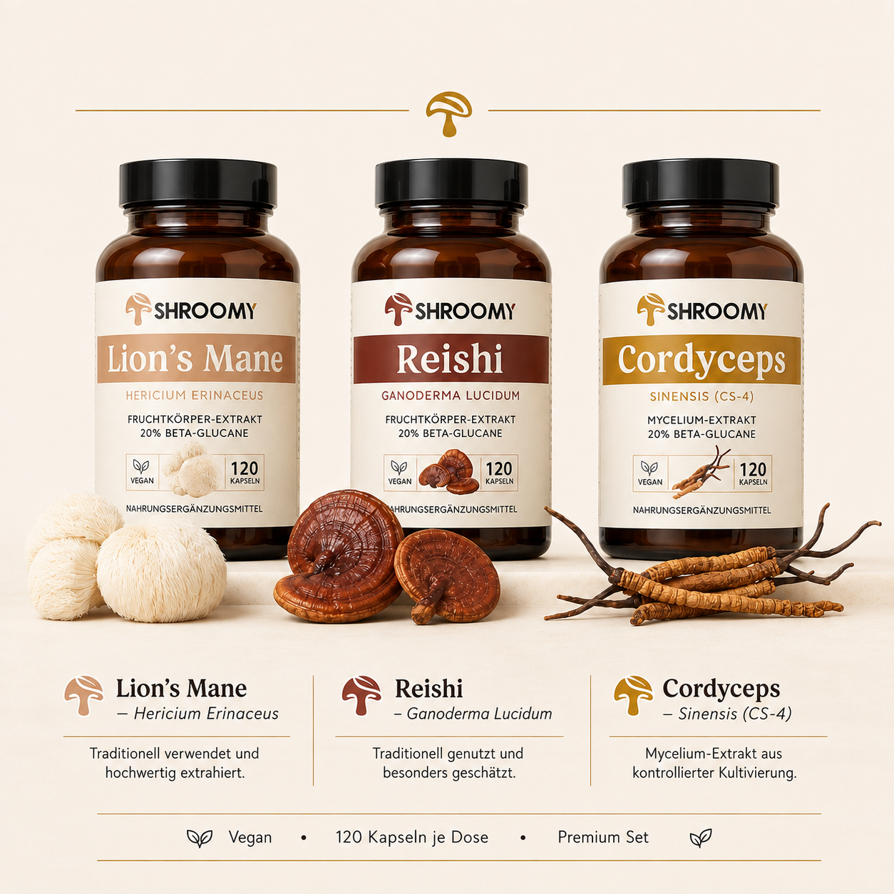 Die SHROOMY Vitalpilze Kollektion