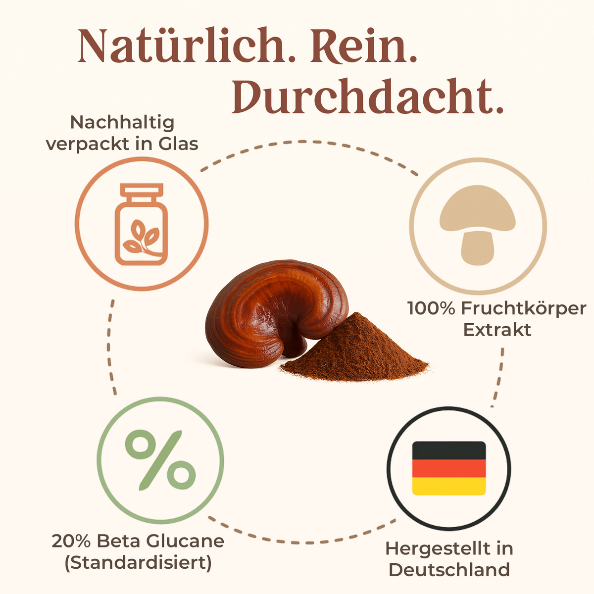 Reishi Kapseln