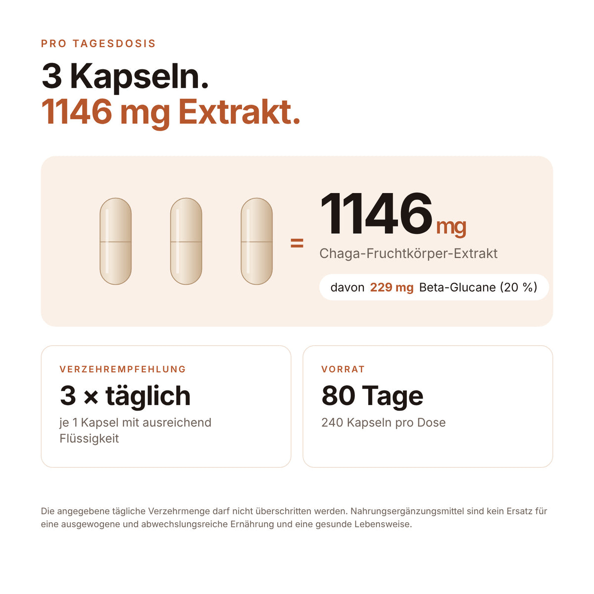 Chaga Kapseln Big Pack
