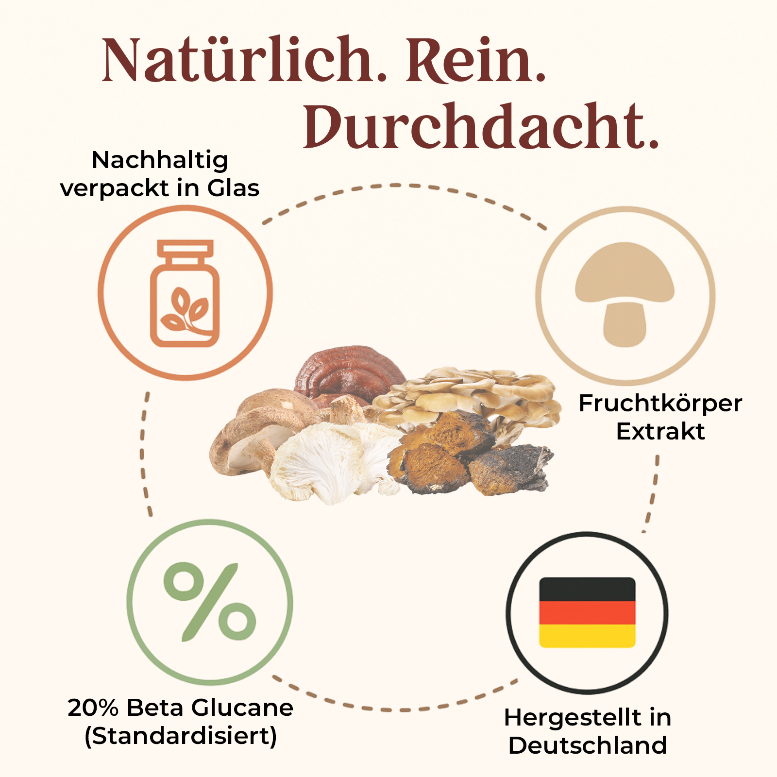 Vitalpilze Kapseln - Premium