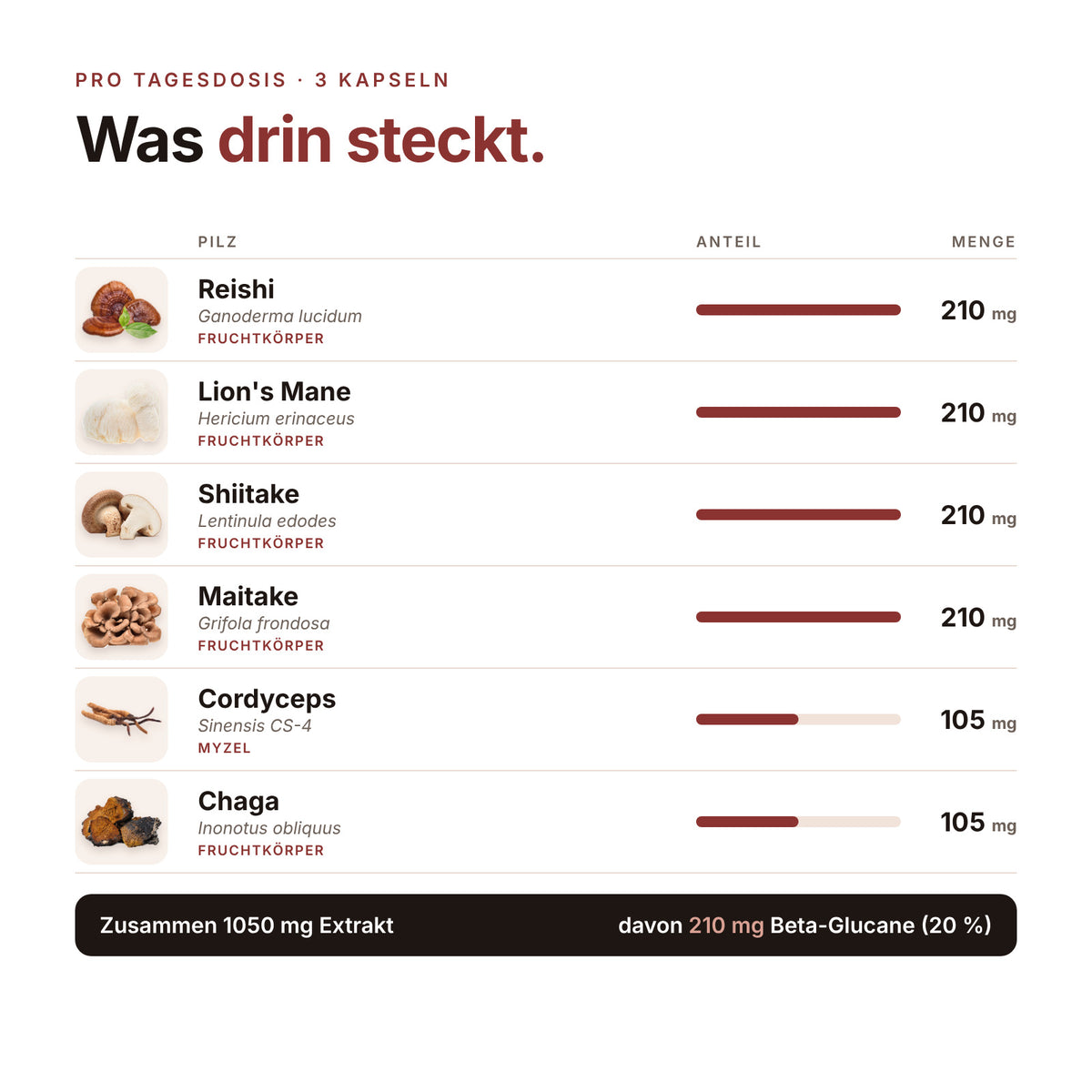 Vitalpilze Kapseln Big Pack