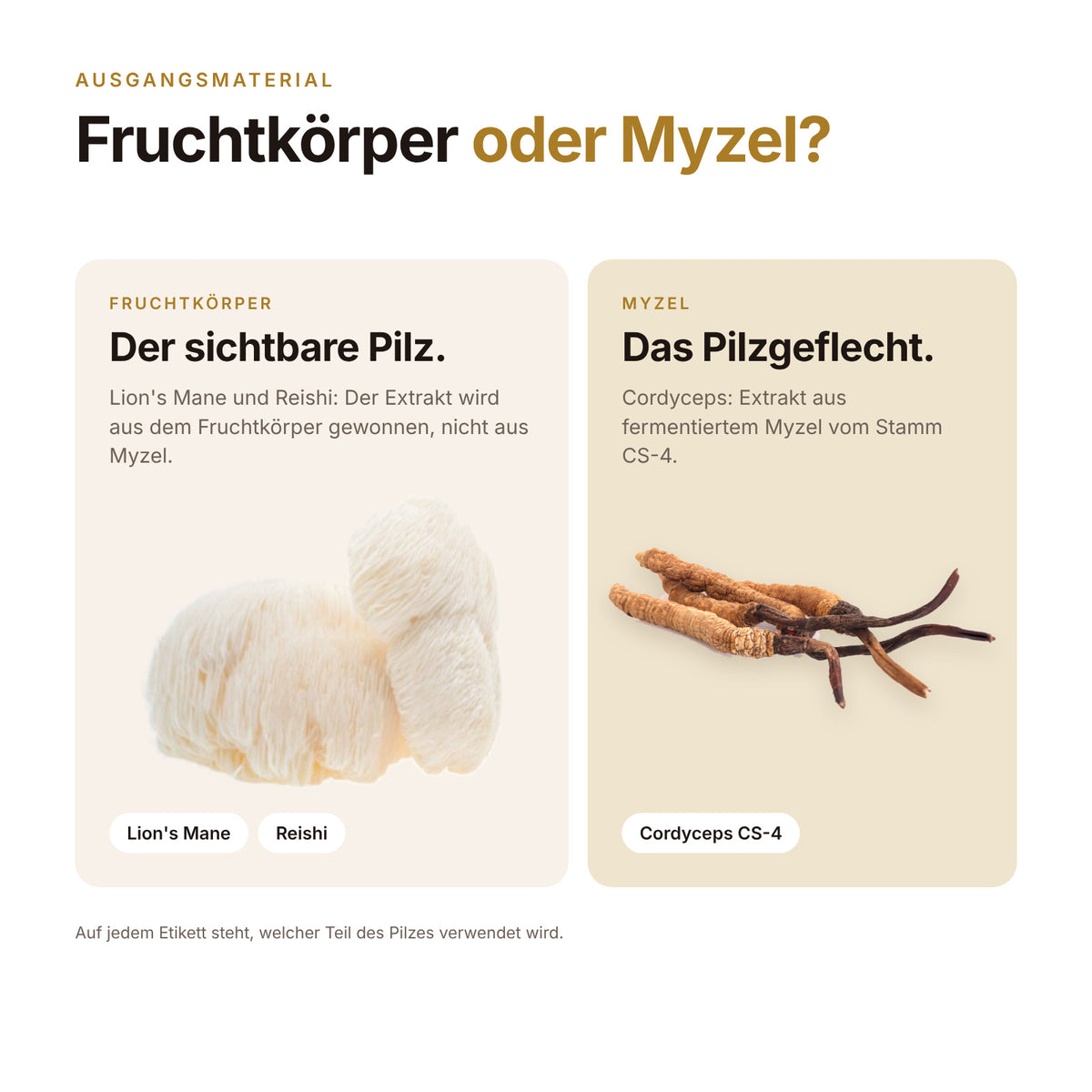 Die SHROOMY Vitalpilze Kollektion