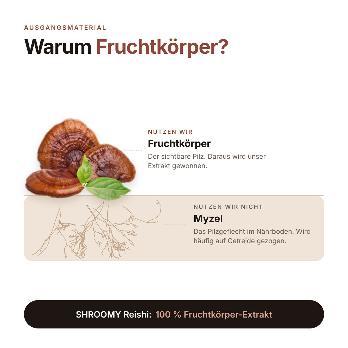 Reishi Kapseln