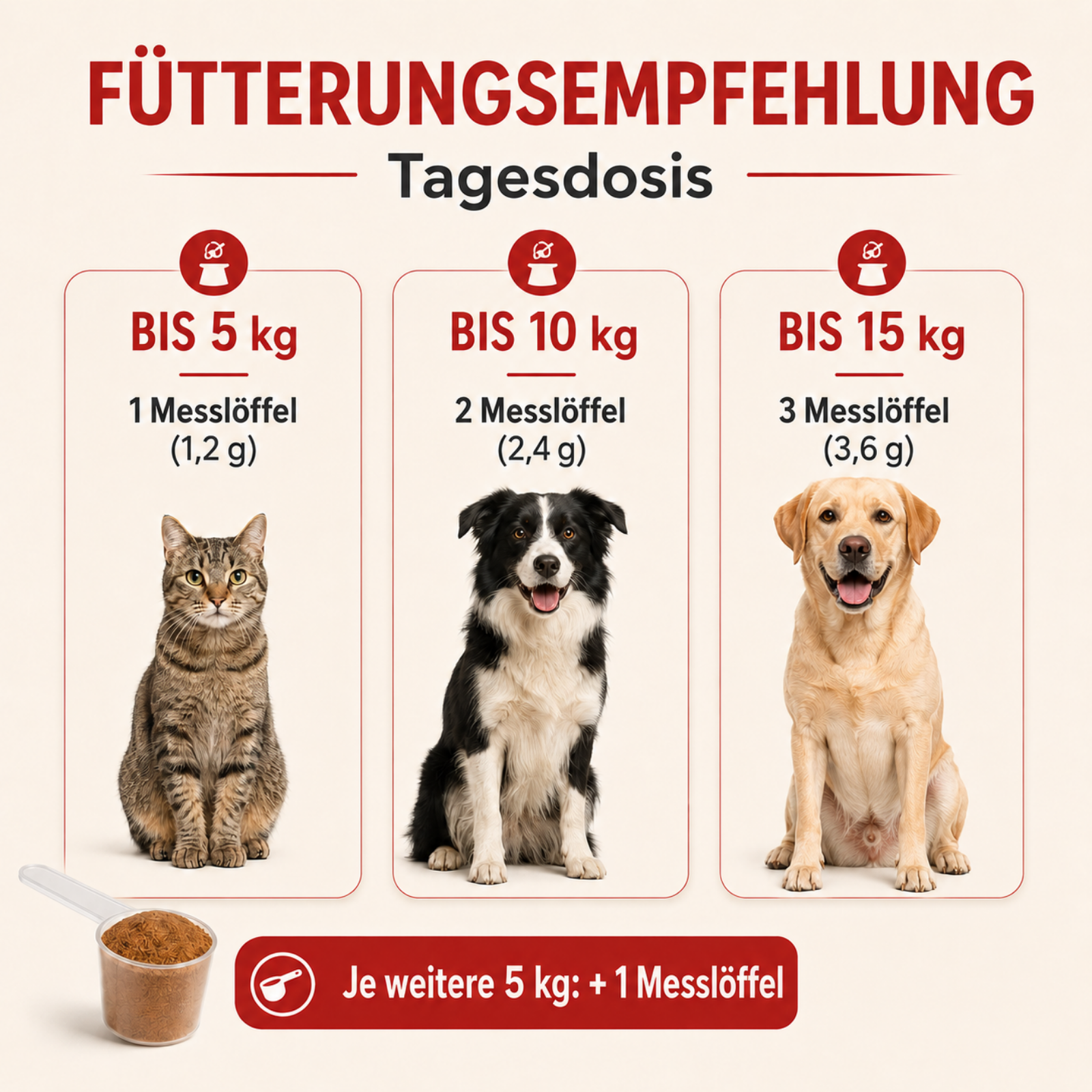 SHROOMY Vitalpilze – Zur Unterstützung von Verdauung und Wohlbefinden bei Hunden & Katzen