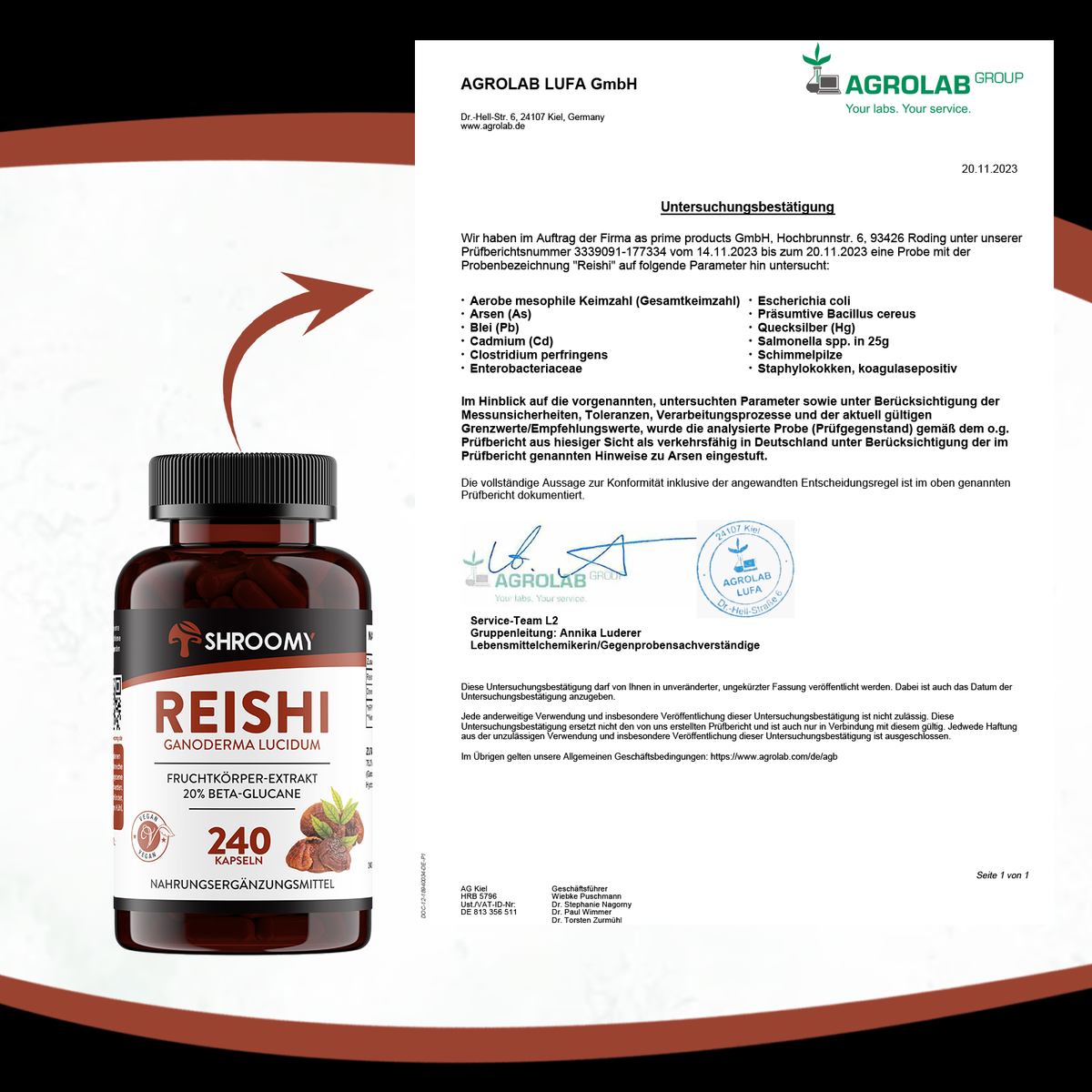 Reishi Kapseln Big Pack