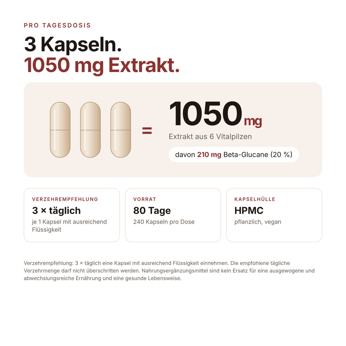 Vitalpilze Kapseln Big Pack