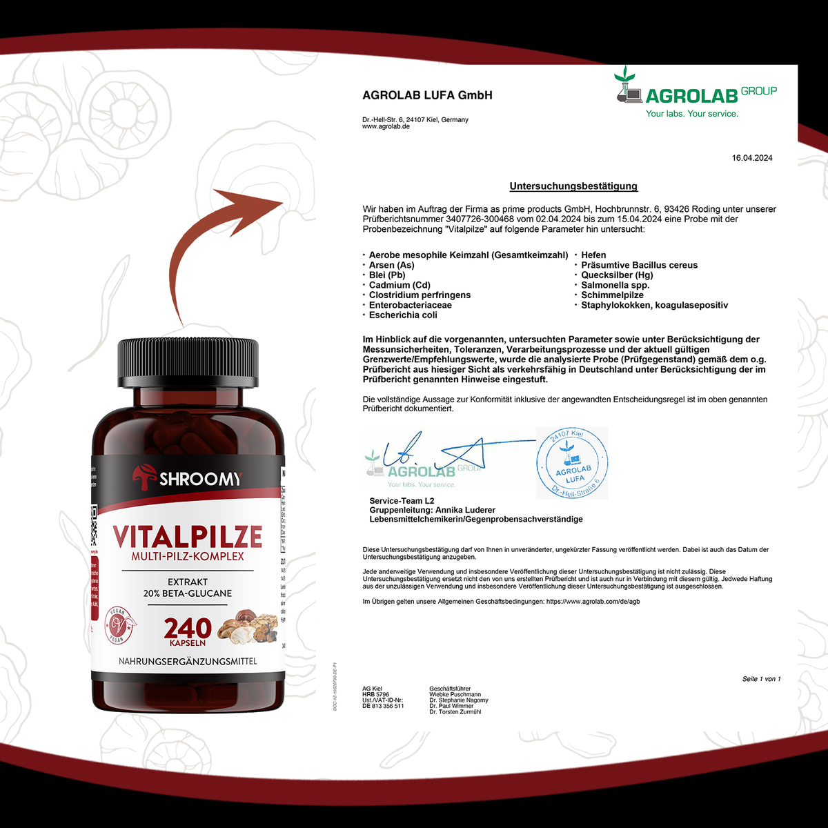 Vitalpilze Kapseln Big Pack
