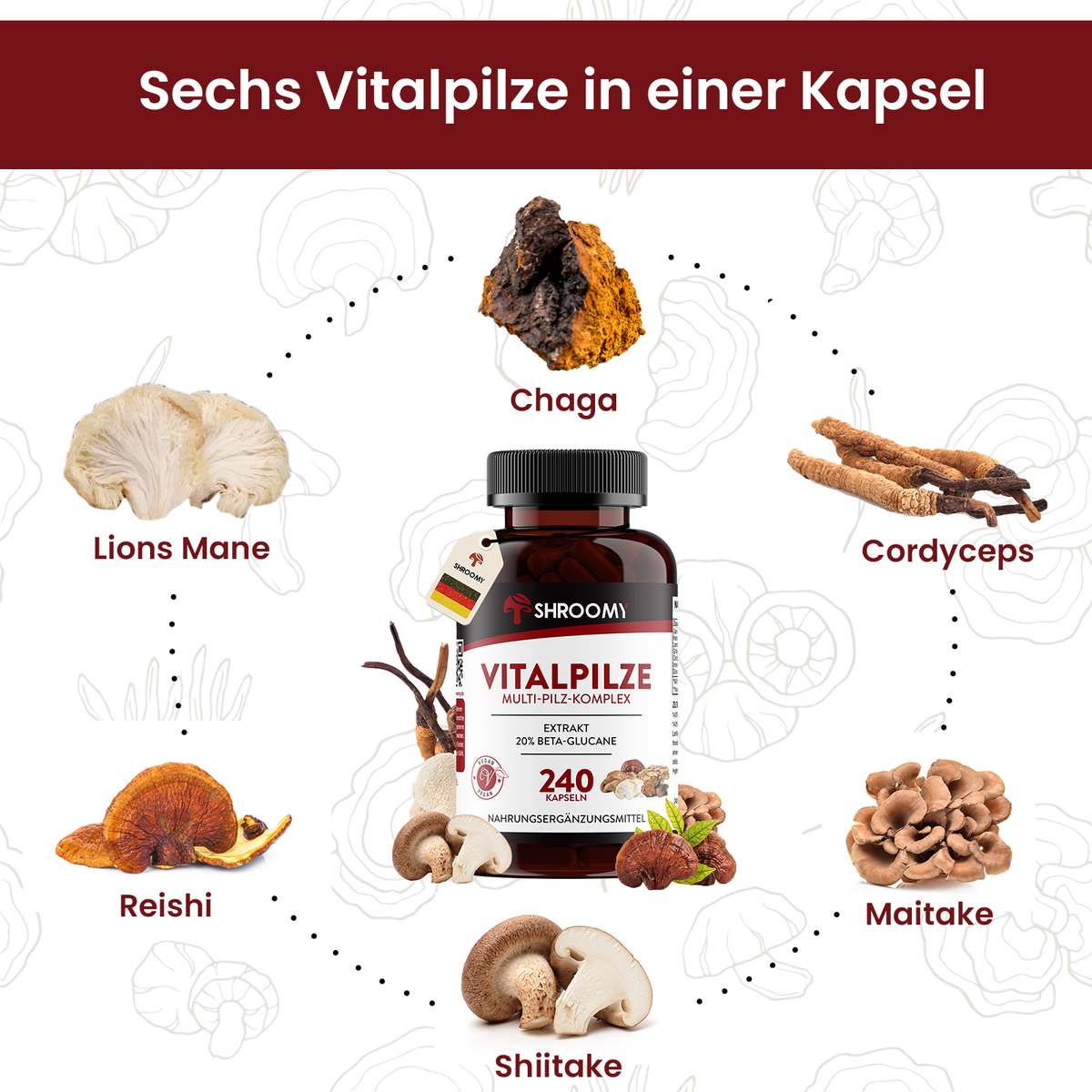 Vitalpilze Kapseln Big Pack