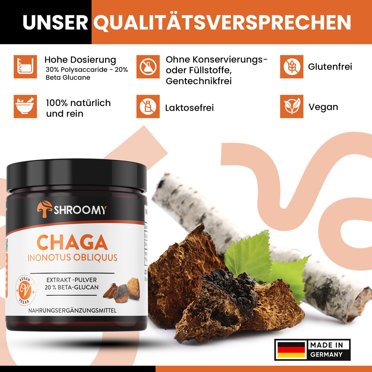 Chaga Extrakt-Pulver