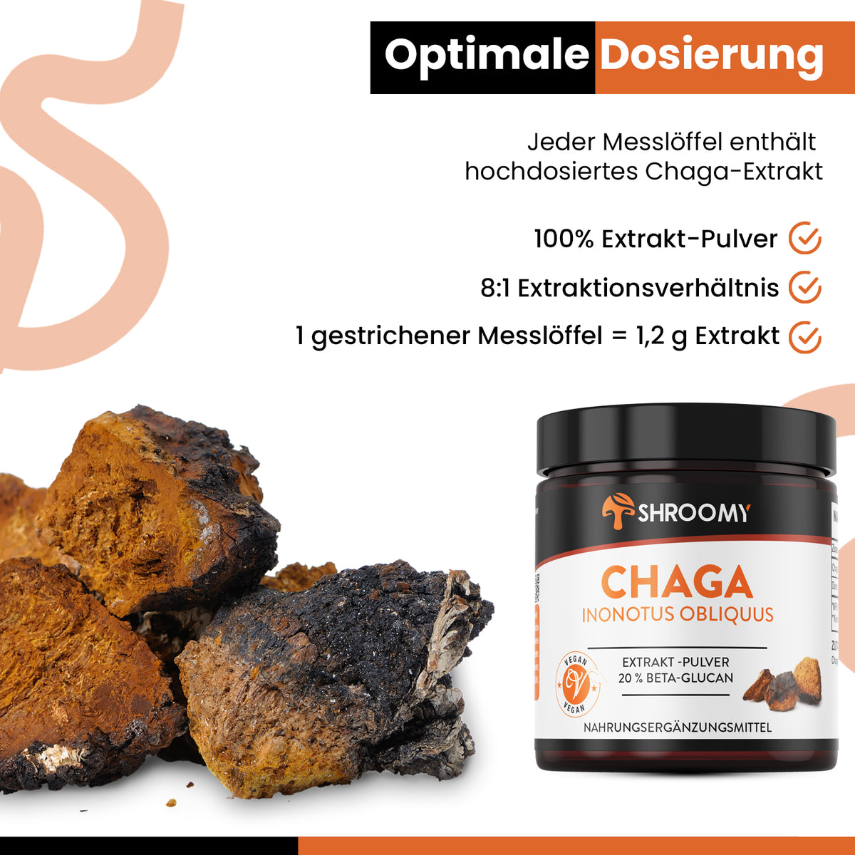 Chaga Extrakt-Pulver