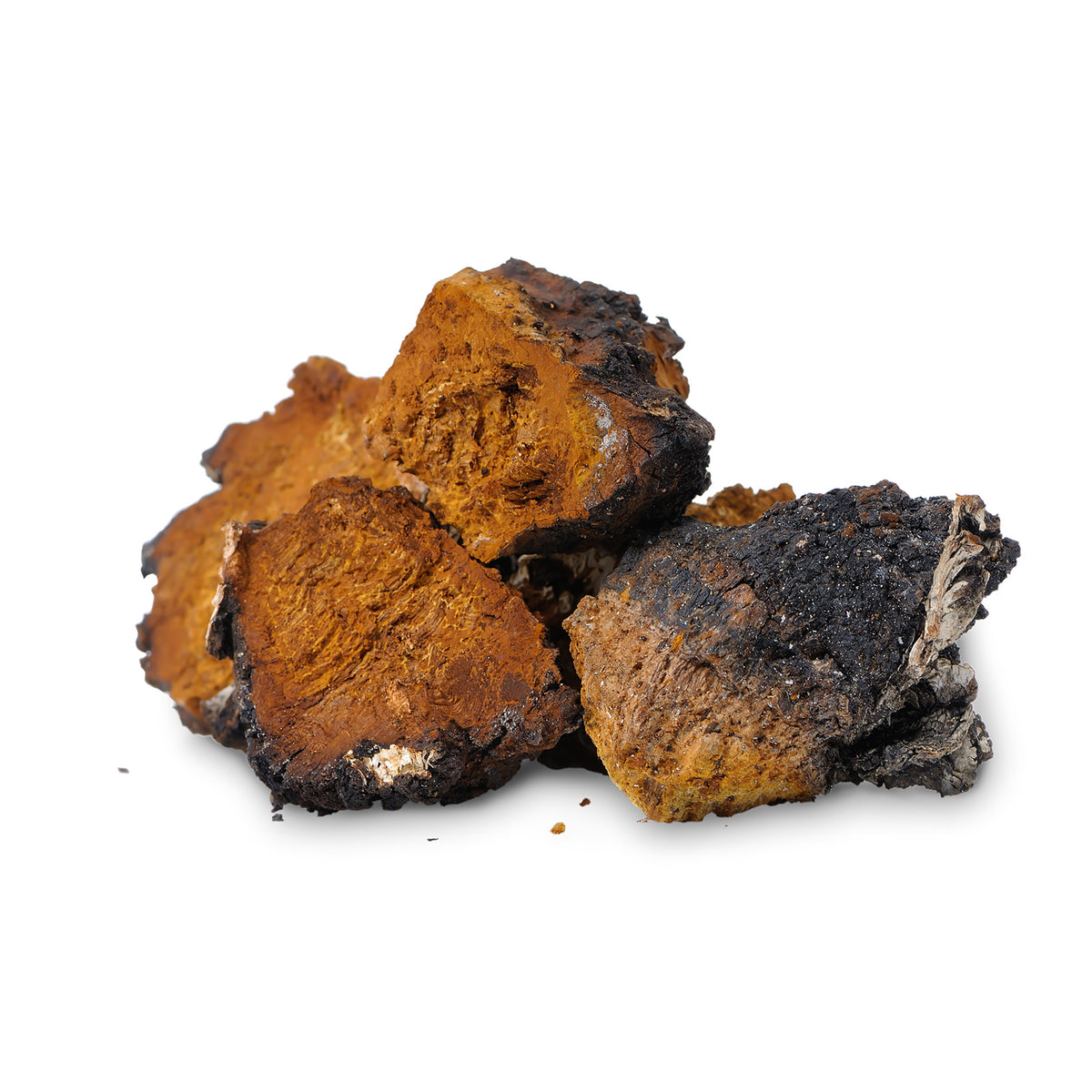 Chaga Kapseln Big Pack